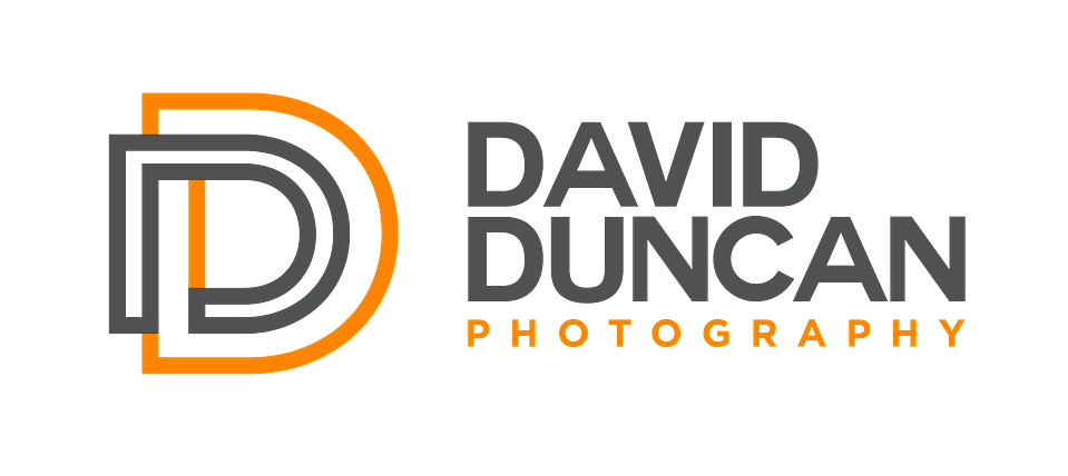 Kingwood Texas Photographer