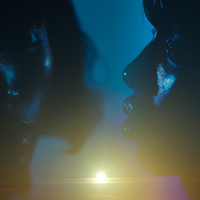 Adobe Premiere Pro 2025 - Selve - Stills. A visual world by Annika White and Carl Knight