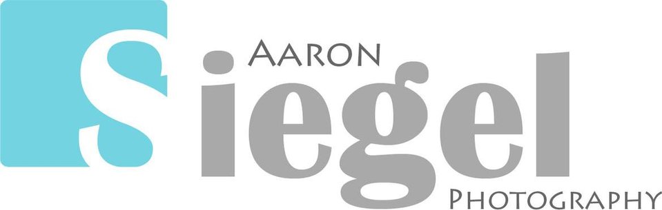  Pittsburgh Headshot Photographer - Aaron Siegel Photography - Actors Models Corporate Portraits Head Shots - Mt. Lebanon