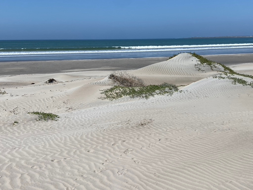 Baja, Dunes, Mexico, Pacific Ocean, Sand Dunes, Baja California Sur