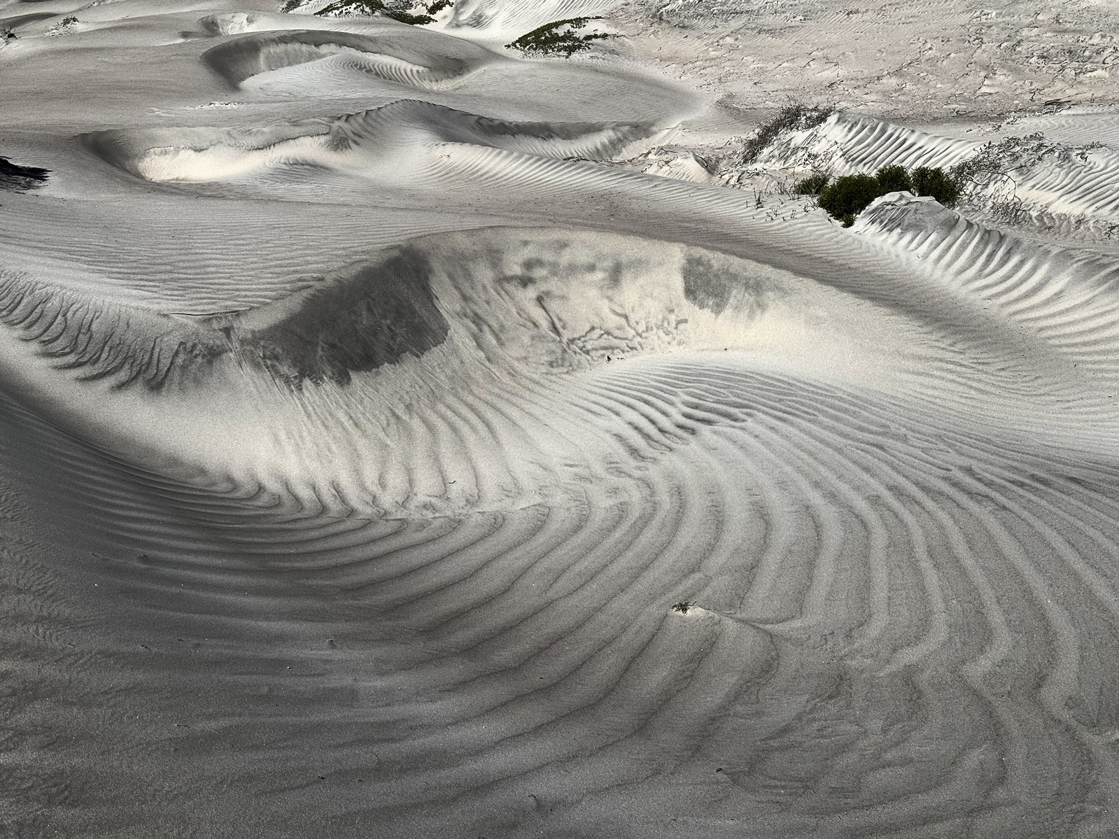 Baja, Dunes, Mexico, Pacific Ocean, Sand Dunes, Baja California Sur