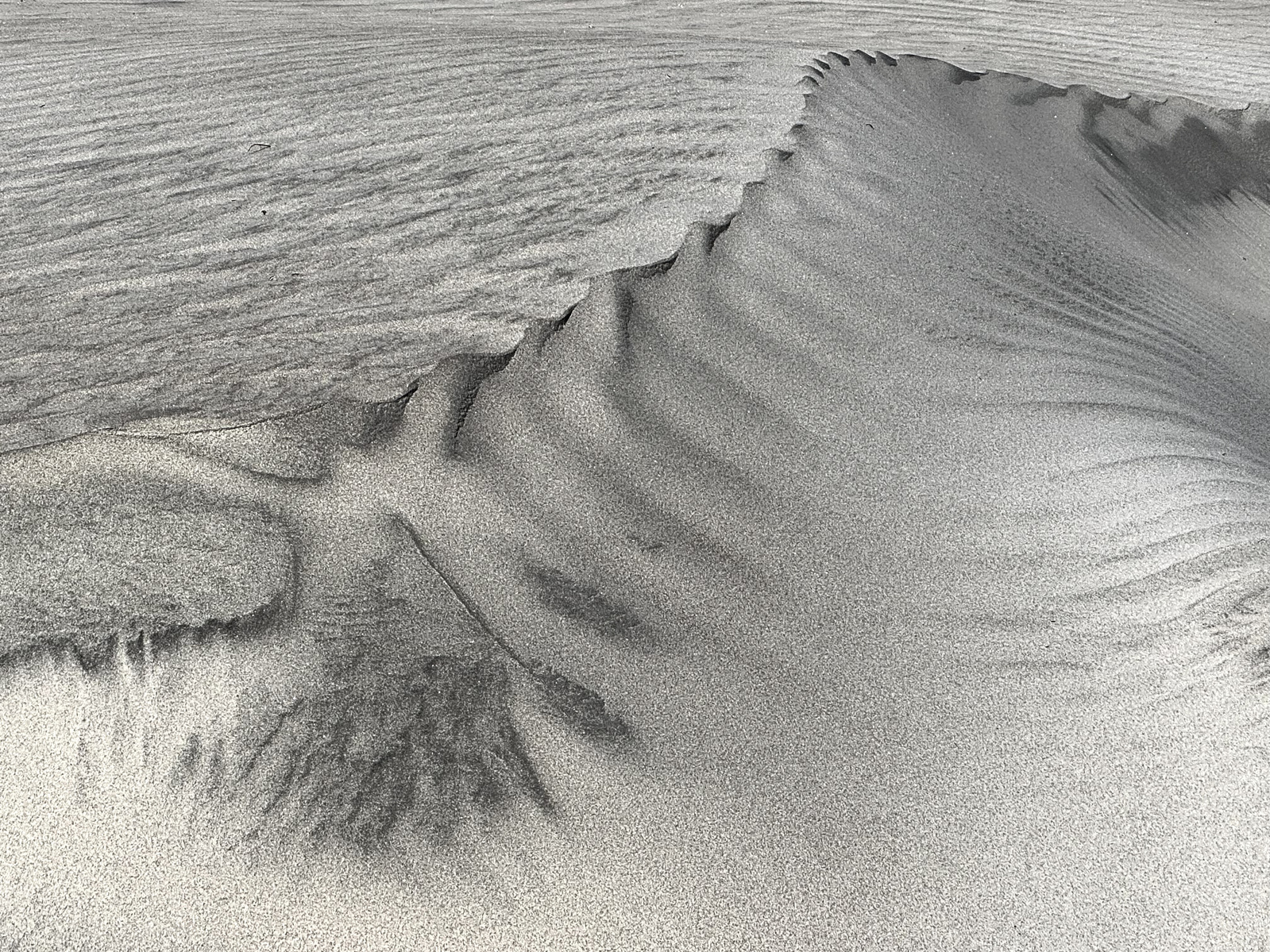 Baja, Dunes, Mexico, Pacific Ocean, Sand Dunes, Baja California Sur