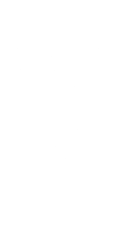 Graphic Designer