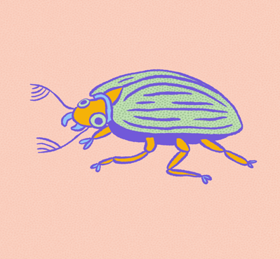 digital animation (2023)