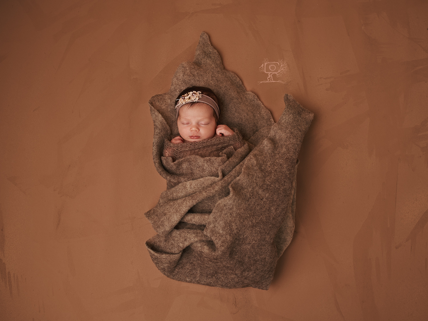 Sesión de fotos de bebés recién nacidos en Gijón