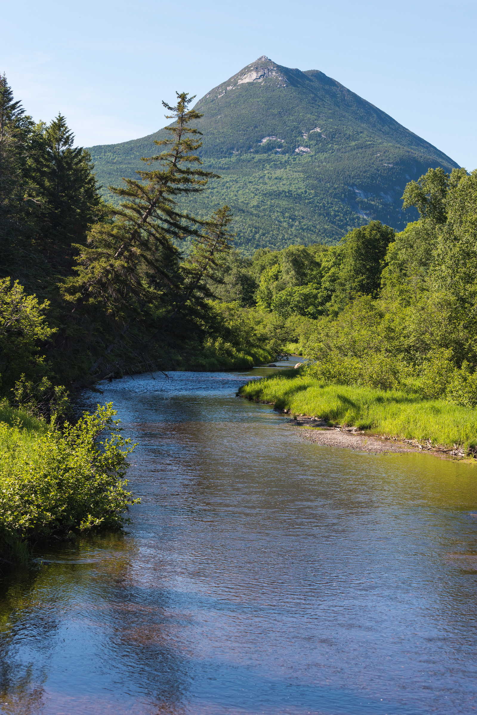 Maine, Baxter, State, Park, River, Nature, Photographer
