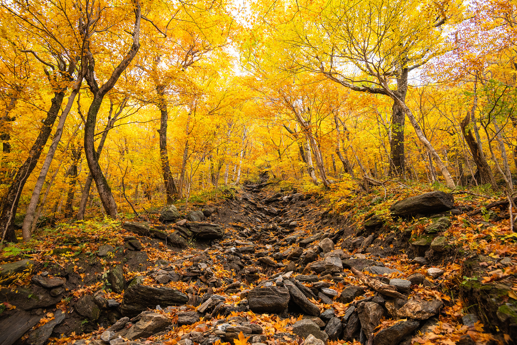 Autumn colors in Smugglers Notch, Vermont.