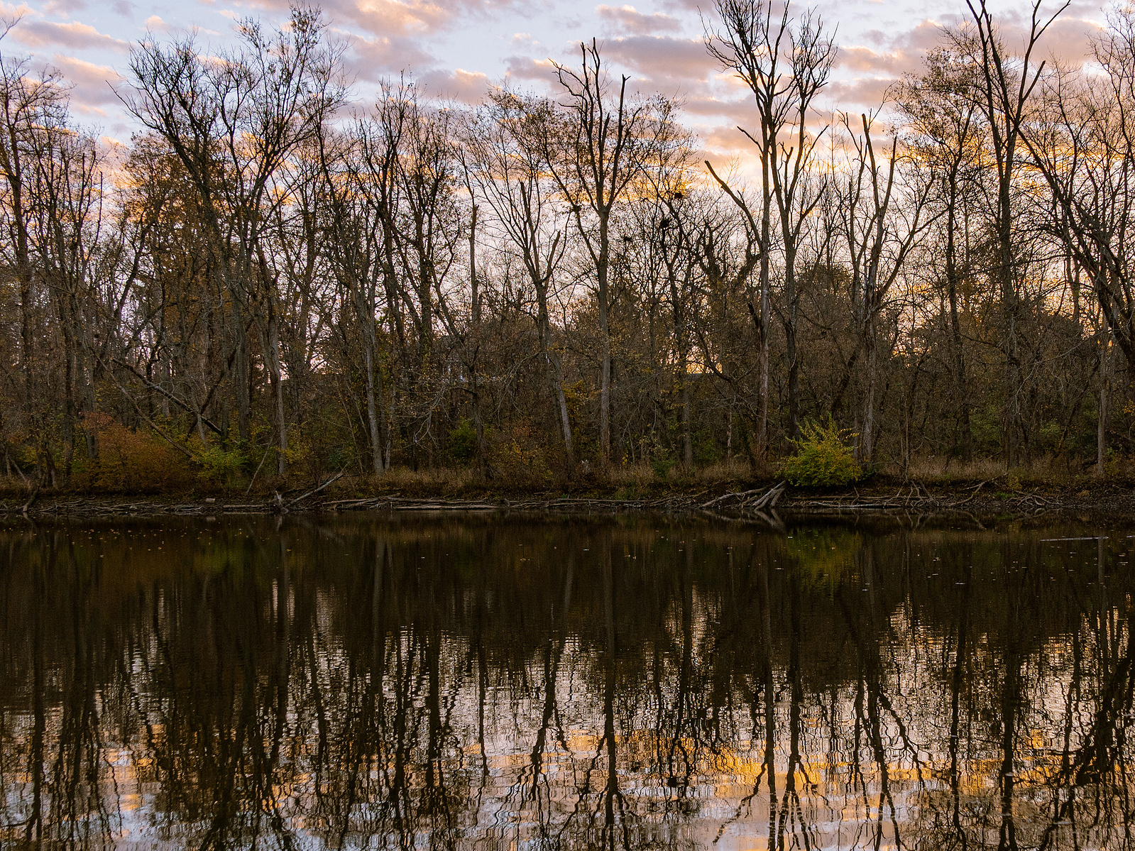 Paul Ruster Pak Paul Ruster Park - Jeremy Burmeister Photography