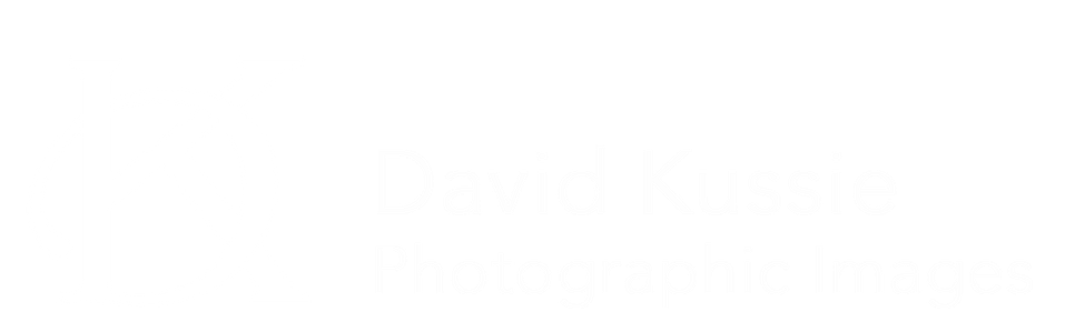 David Kussie