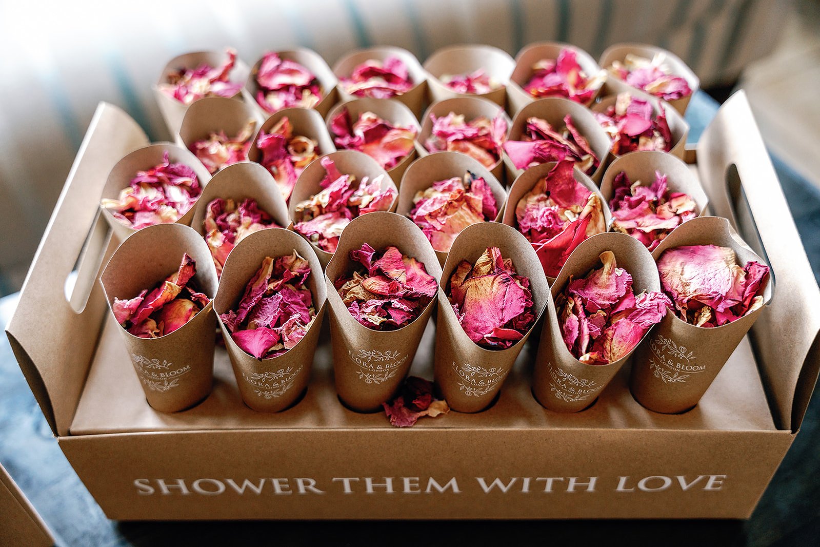 Cantley House Hotel Wedding 017