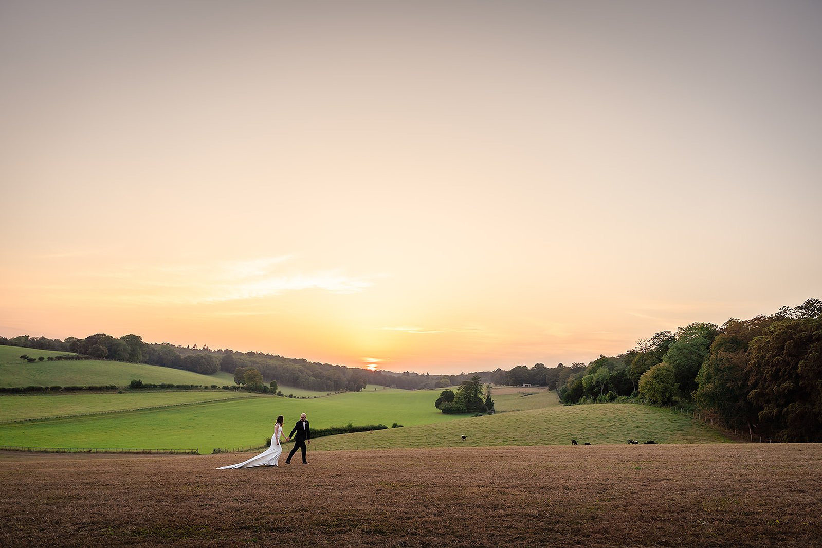 Herons Farm Wedding Sunset Golden Hour