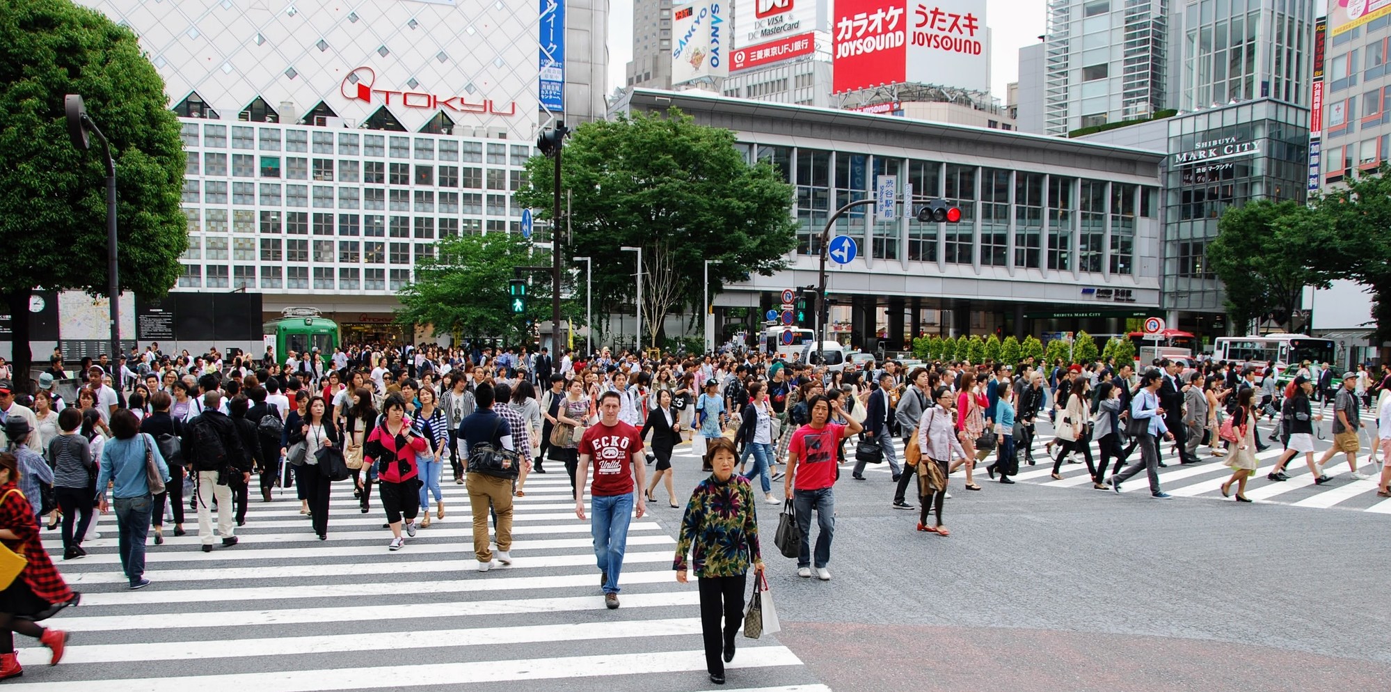 Gino Zisa at Shibuya Crossing Tokyo