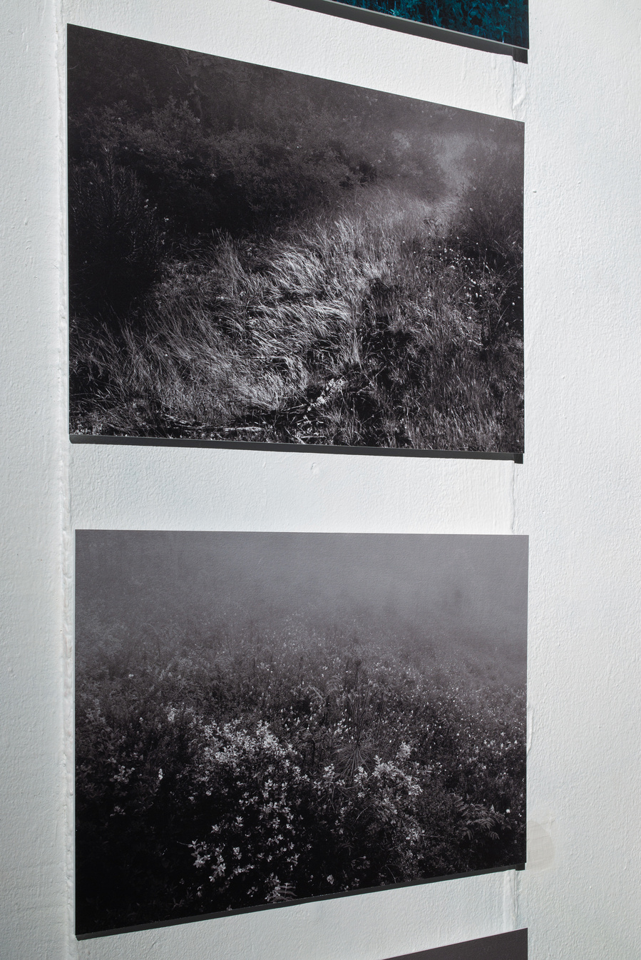 photographie © Minseok Kim