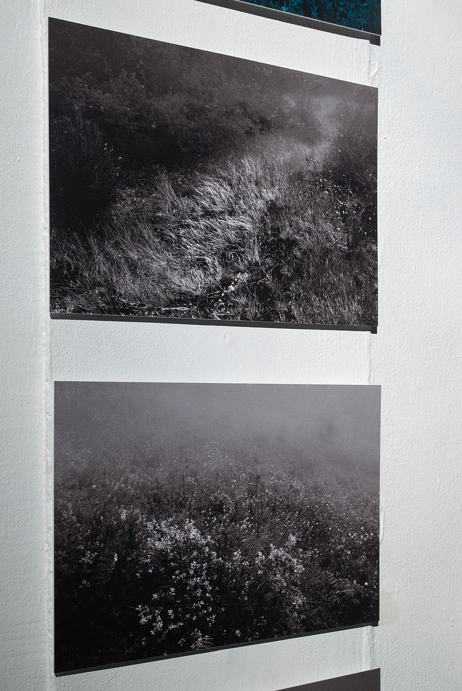 photographie © Minseok Kim