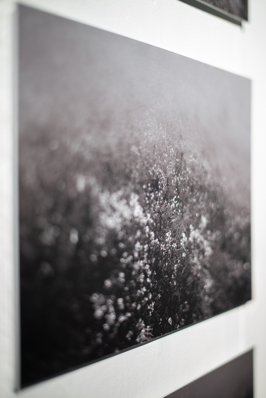 photographie © Minseok Kim