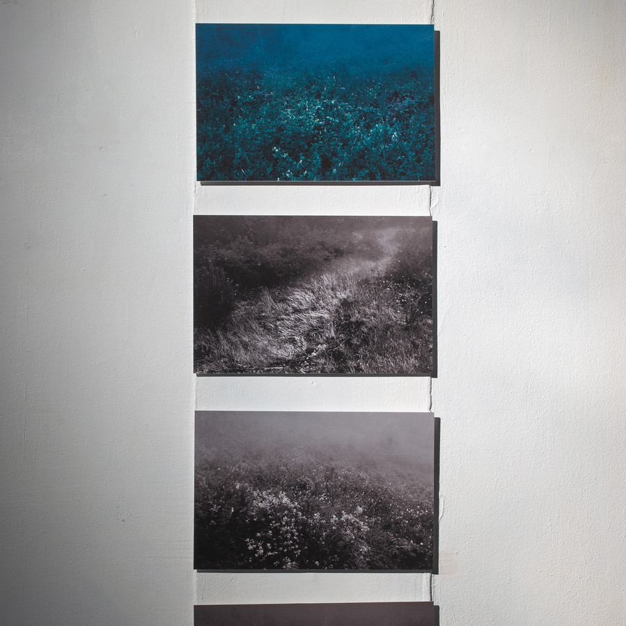 photographie © Minseok Kim