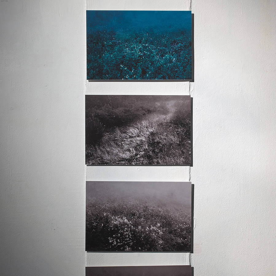 photographie © Minseok Kim