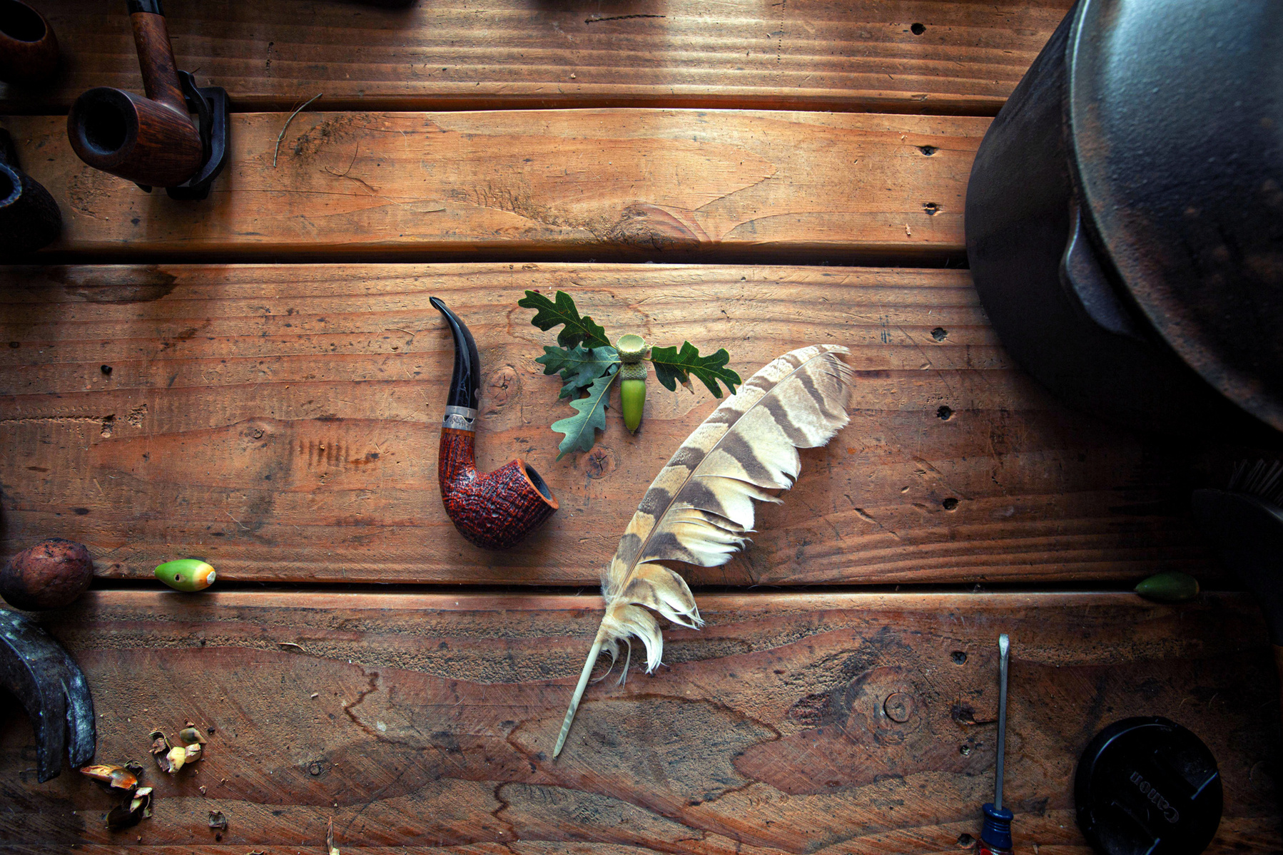 The humble acorn can produce lovely flour for baking, soups, all manner of food!