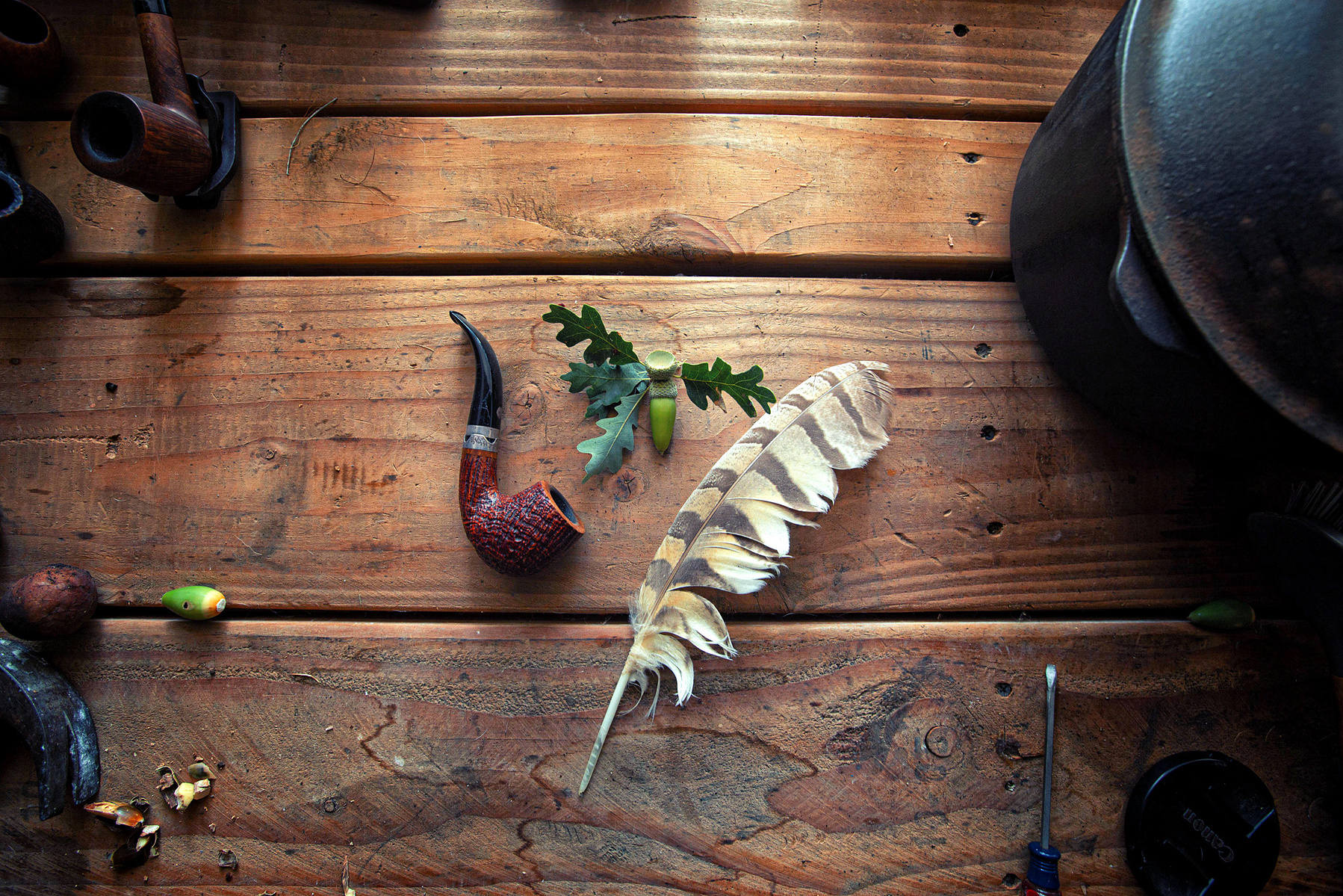 The humble acorn can produce lovely flour for baking, soups, all manner of food!