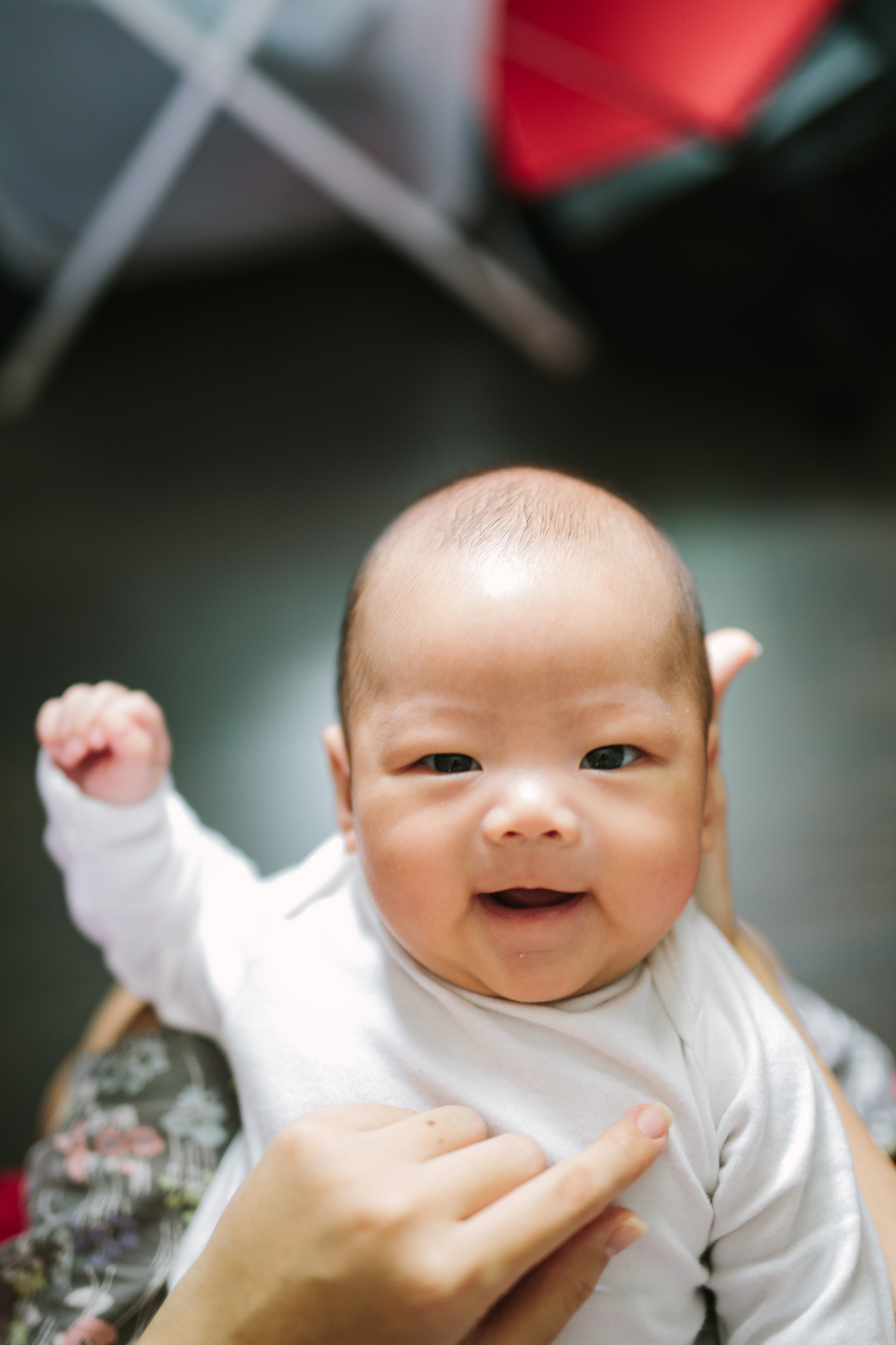 Elias Chang En Le, Chang Family, 2015, Zeng Liwei