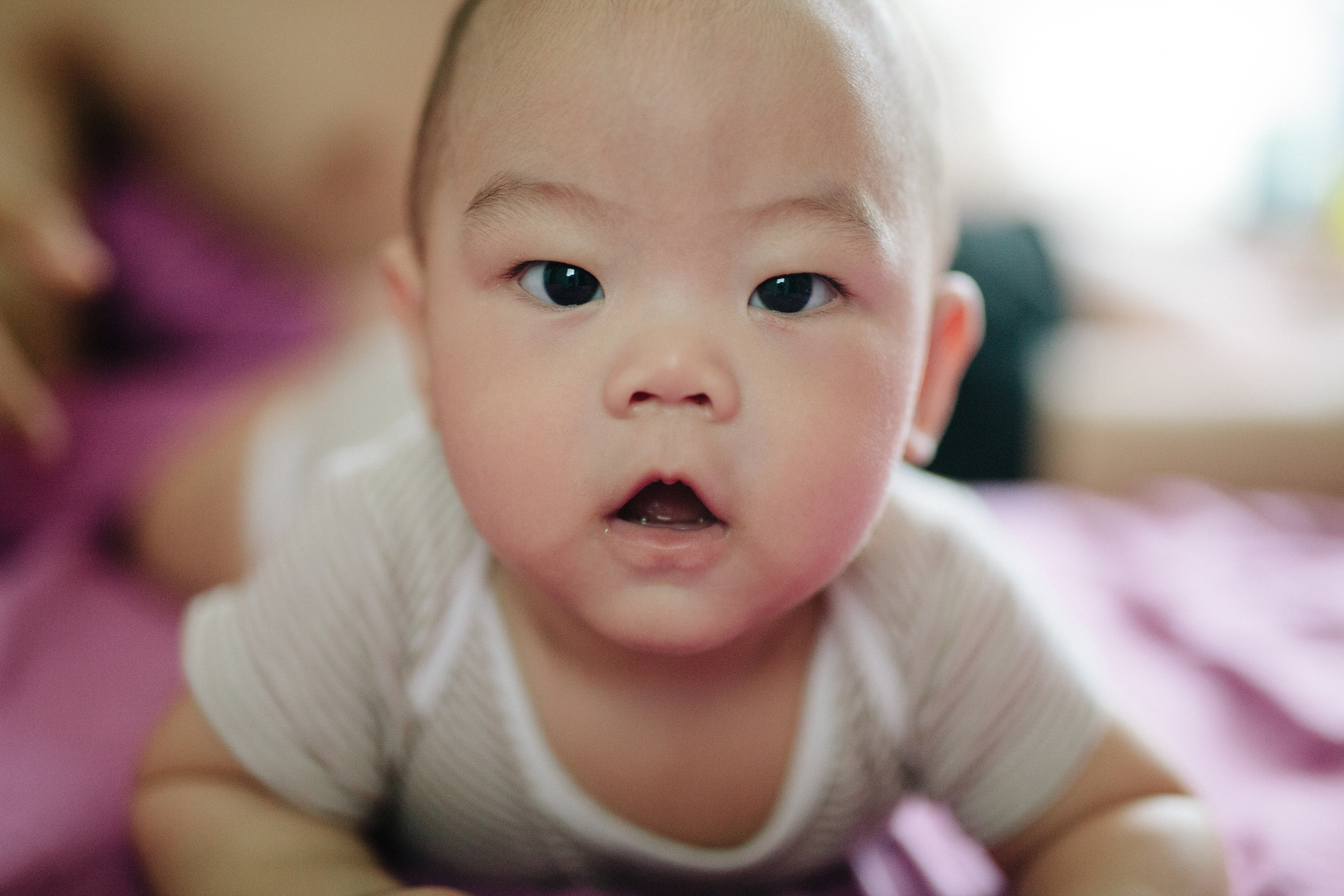 Elias Chang En Le, Chang Family, 2015, Zeng Liwei
