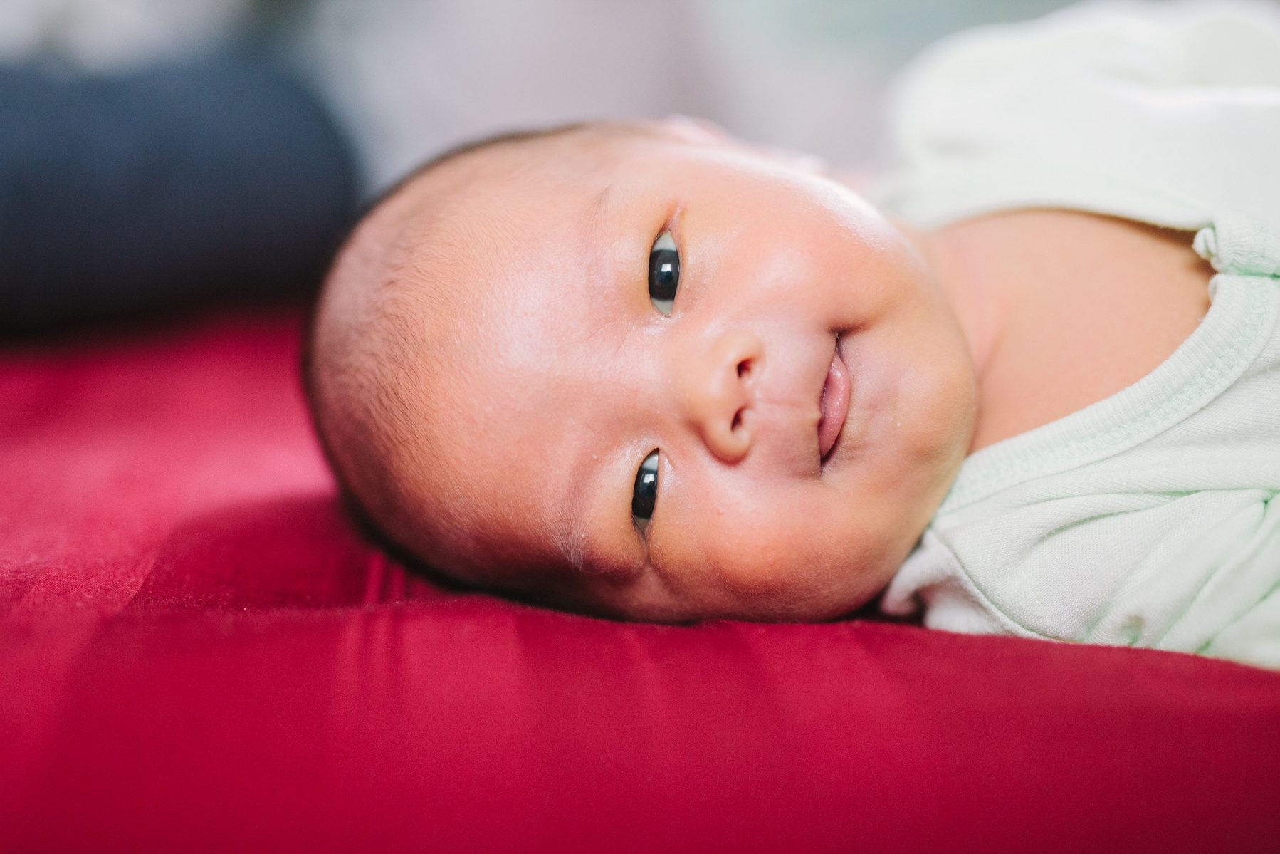 Elias Chang En Le, Chang Family, 2015, Zeng Liwei