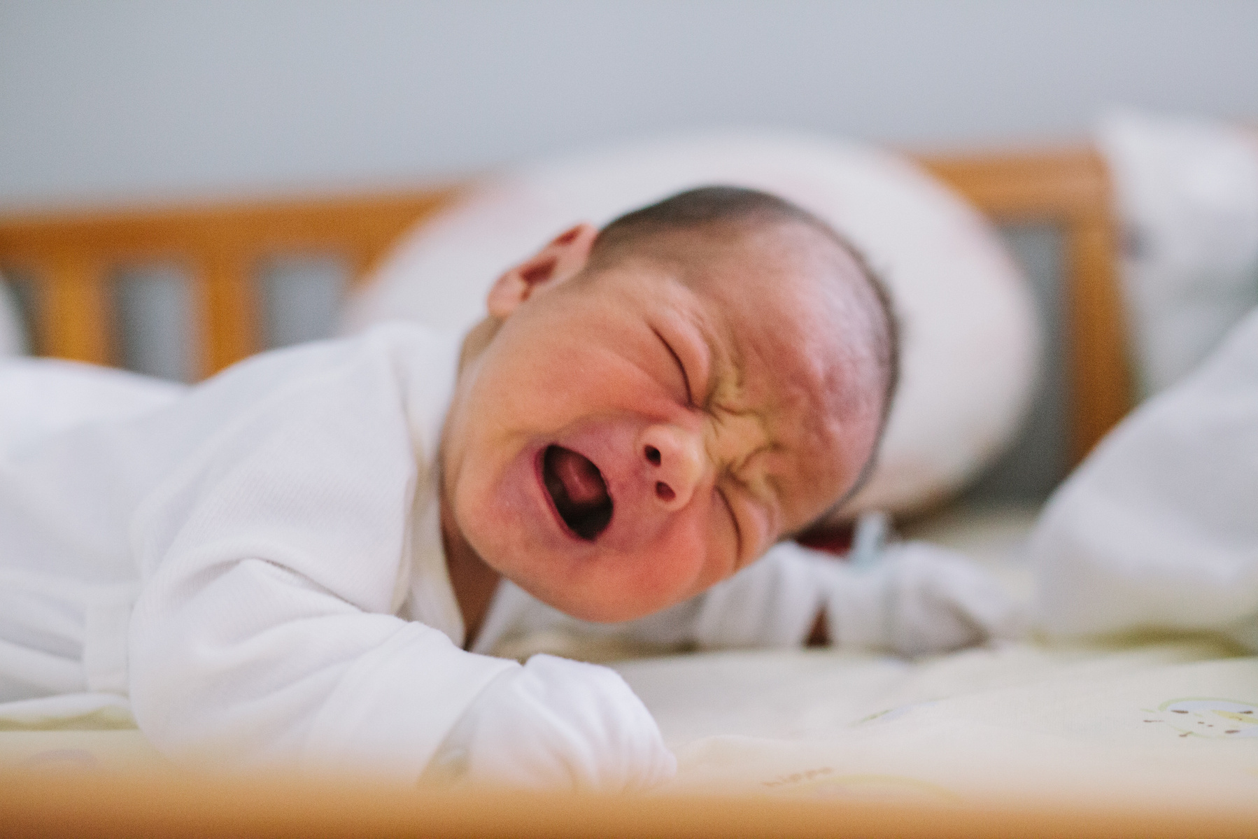 Elias Chang En Le, Chang Family, 2015, Zeng Liwei