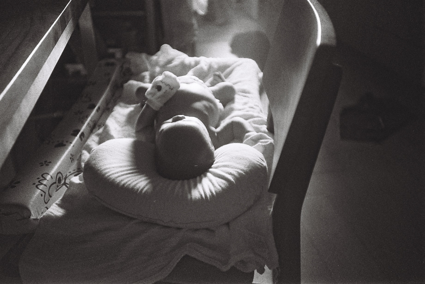Elias Chang En Le, Chang Family, 2015, Zeng Liwei