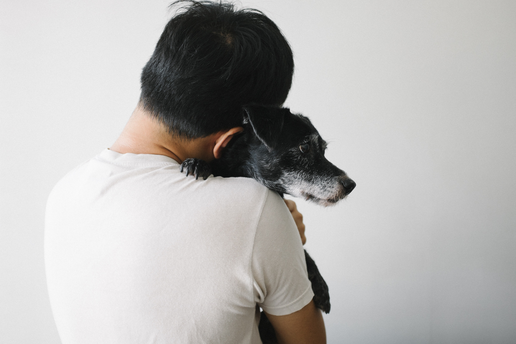 Together, 2015, zeng liwei, family, love