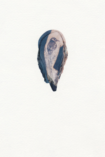 ‘Distorted Bodies’ explores our distorted versions of Beauty and the impact this has on us. Polaroid emulsion lift on watercolour paper.