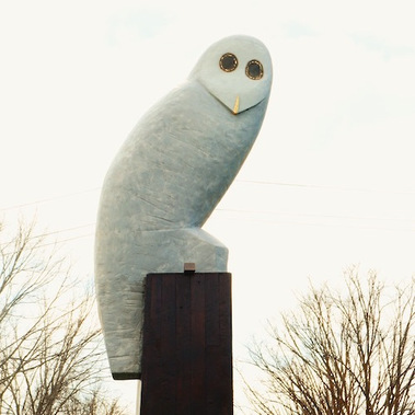 The stumpy Belconnen 'Penis' Owl sculpture towers over trees. 