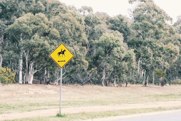 A sign to indicate horses may be found walking on the path between the road and bush. 