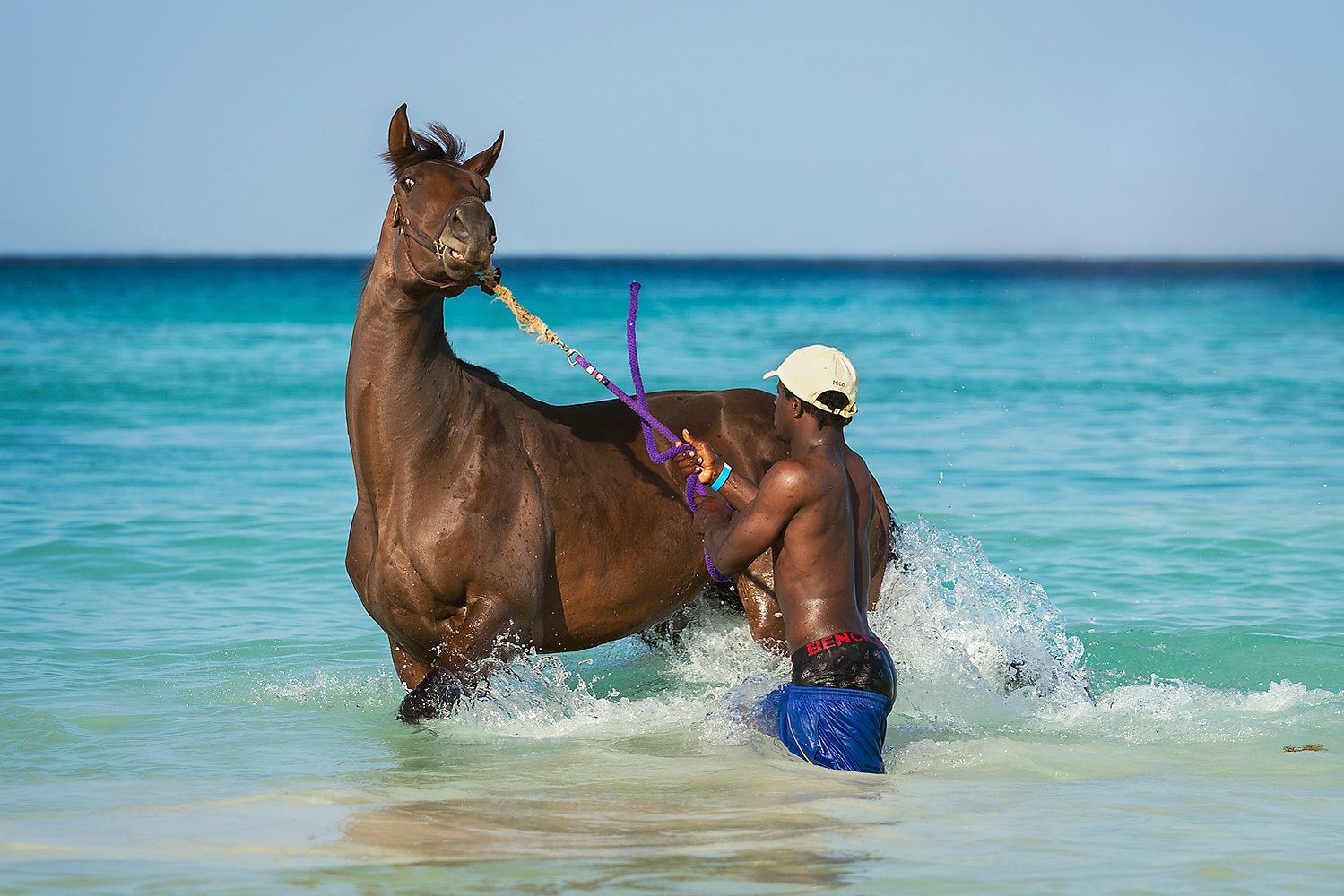 barbados, horses swimming, pebbles beach, pebbles beach race horses, jen mason photography