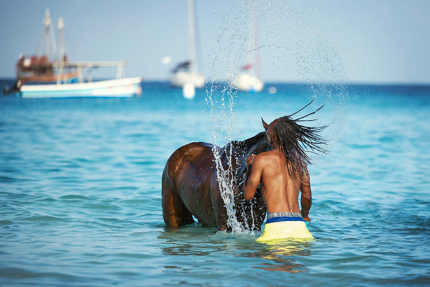 barbados, horses swimming, pebbles beach, pebbles beach race horses, jen mason photography