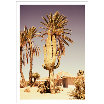 Yucca Valley Cactus shot in Yucca Valley, Joshua Tree, California. Elle Green Photo California Desert Wall Art