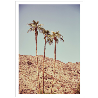 Twentynine Palms shot in Palm Springs, California. Elle Green Photo California Desert Wall Art