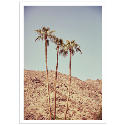 Twentynine Palms shot in Palm Springs, California. Elle Green Photo California Desert Wall Art
