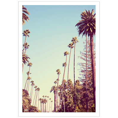 Beverly Hills Palms shot in Beverly Hills, Los Angeles, California by Elle Green for her wall art Photography series.