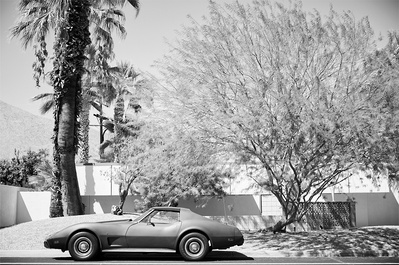 Palm Springs Corvette shot outside the Kaufmann House in Palm Springs California. Elle Green Photo California Desert Wall Art
