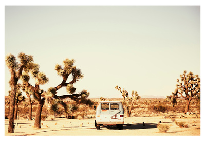 Outpost is shot in Joshua Tree, California by Elle Green for her California Desert Wall Art Photography series.