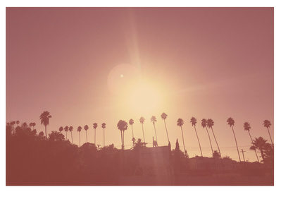 SIlverlake Palms shot on Sunset Ave in Silver lake, Los Angeles, California by Elle Green for her wall art Photography series.