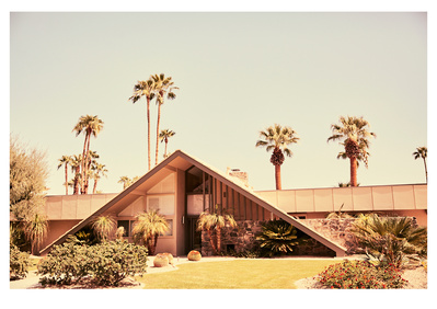 Via Vadera is another Swiss Miss mid century modern home shot in Palm Springs, California by Elle Green for her California Desert Wall Art Photography series.