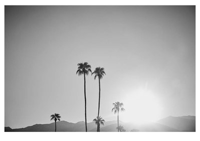 Palm Springs Mocktails shot in Palm Springs, California. Elle Green Photo California Desert Wall Art