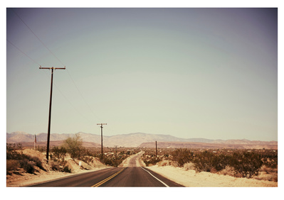 La Contenta shot in Joshua Tree, California by Elle Green for her California Desert wall art Photography series.