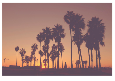 Venice Beach shot at Venice Beach at sunset, Los Angeles, California by Elle Green for her wall art Photography series.