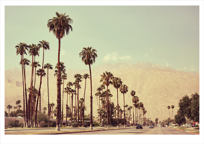 Palm Drive shot in the beautiful Palm Springs, California. Elle Green Photo Californian Desert Wall Art