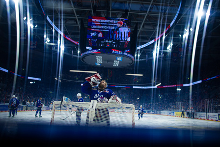 DEL Eishockey