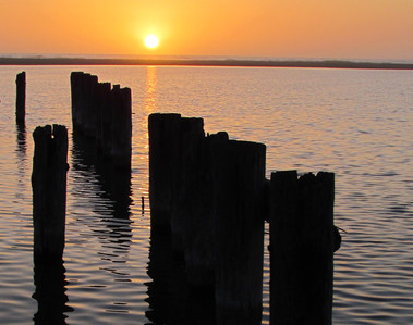 Pacific Suns