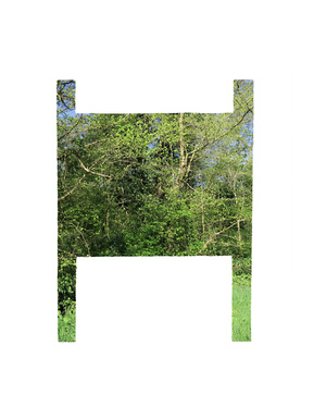 Being Brent, Being Green - Matt Lee, Smriti Mehra