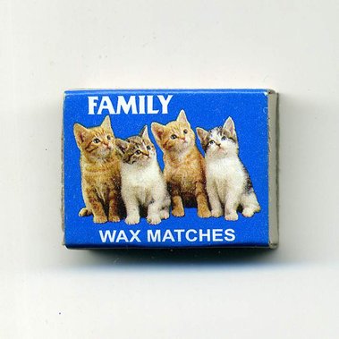 Matt Lee – Indian Matchboxes – Matchboxes from the Subcontinent